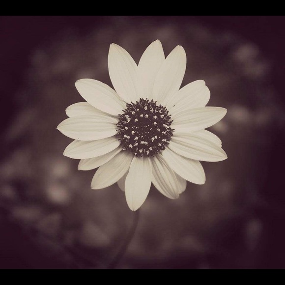 Meet your Posher, Alicia - Picture 1 of 1